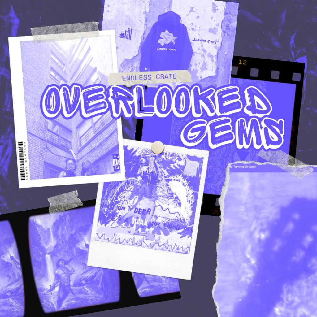 Our latest installment of "Overlooked Gems" delves into the world of music to unearth a selection of underrated albums that are sure to enthrall discerning listeners.