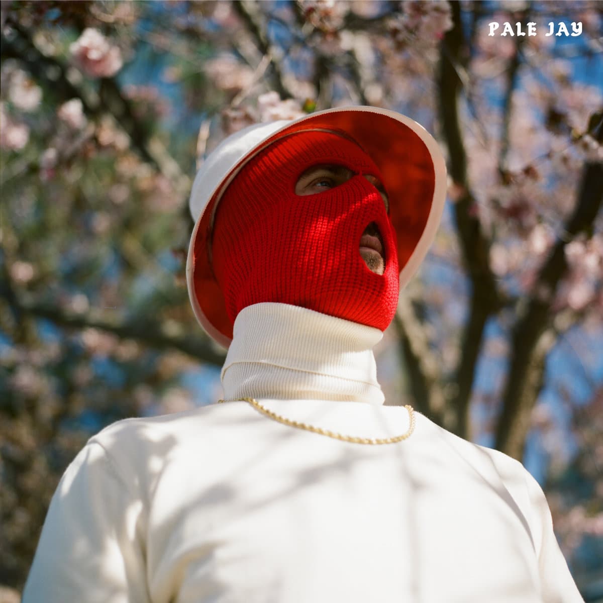 Centered around his captivating falsetto voice, Pale Jay's music is a journey into warm textures and dreamy harmonies that are simply gorgeous.